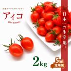 大家ファームのミニトマト アイコ 2kg×5回