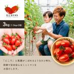 ミニトマト にこりトマト 3kg