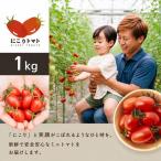 ミニトマト にこりトマト 1kg