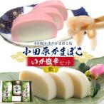 小田原蒲鉾 いか塩辛セット 松【かまぼこ