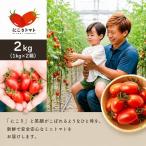 ミニトマ にこりトマト 2kg