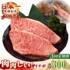 長崎和牛 イチボ ステーキ 300g