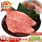 長崎和牛 イチボ ステーキ 300g