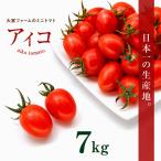大家ファームのミニトマト アイコ 3.5kg×2箱