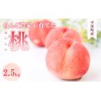 ふるさと納税 桃 ≪2026年8月順次発送≫ 平泉町産 桃 約2.5kg  (7〜10玉)  まどか  / フルーツ 桃桃桃【dma501-ma】 岩手県平泉町