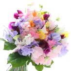 旬のお花で季節の花束【旬のお花で季節の花束