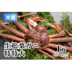 活松葉ガニ 特特大 川口商店 松葉ガニ 松葉がに