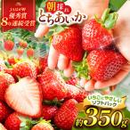 朝採れいちご とちあいか 350g
