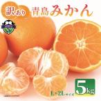 みかん 訳あり 青島 5kg
