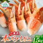 カニ 本ズワイガニ二本爪 1.5kg