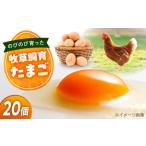 天心山たまご 20個