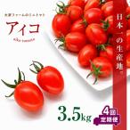 大家ファームのミニトマト アイコ 3.5kg×4回