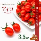大家ファームのミニトマト アイコ 3.5kg×5回