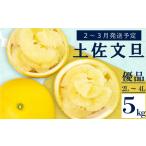 ふるさと納税 【2月上旬から発送】 文旦高知5kgみかん2L~4Lみかんみかんみかんみかんみかんみかんみかん 高知県須崎市