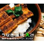 うなぎ蒲焼 大サイズ 2尾