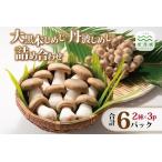 fu.... налог большой чёрный книга@ симедзи Tanba симедзи набор [010MK004] Kyoto (столичный округ) столица Tanba блок 