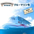 海中観光船 ブルーマリン号 乗船券 大人 1名様