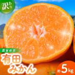 みかん 有田みかん 約5kg