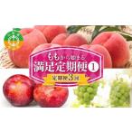ふるさと納税 【定期便 3回】桃から始まる満足定期便(1) 桃 もも 白桃 すもも 秋姫 シャインマスカット 果物 フルーツ 山形県 中山町 F4A-0451 山形県中山町