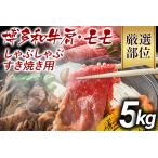 訳あり 博多和牛切り落とし 5kg