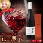 マスカット ベーリーA2025 山鹿 赤ワイン辛口750ml