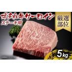 博多和牛サーロインステーキ 5kg