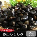 美味網走湖の砂出ししじみ