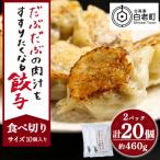 だぶだぶの肉汁をすすりたくなる餃子 20個