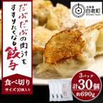 だぶだぶの肉汁をすすりたくなる餃子 30個
