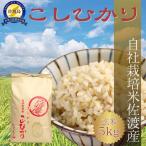 コシヒカリ 玄米 5kg