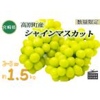 ふるさと納税 【数量限定・先行受付】久保ぶどう園のシャインマスカット1.5kg(2〜3房) 果汁たっぷりの美味しい種なし葡萄 TF0780-P00005 宮崎県高原町