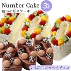 ナンバーケーキお誕生日記念日 ナンバーケーキ