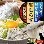 冷凍生しらす50g×5個 しらす