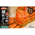 越前がに 大サイズ 茹で前約1kg 2杯