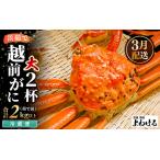 越前がに 大サイズ 茹で前約1kg 2杯