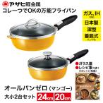 フライパン オールパンゼロ 20+24 マンゴー