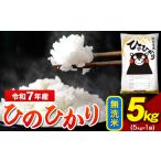 ショッピングふるさと納税 無洗米 ふるさと納税 令和7年産   ひのひかり 無洗米 5kg   米 ブランド米 大容量《7-14日以内に出荷予定(土日祝除く)》 熊本県荒尾市