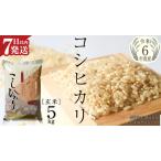 ふるさと納税 【 令和6年産 】 コシヒカリ 玄米 5kg ( 5kg × 1袋 ) (茨城県共通返礼品 かすみがうら市) 米 ごはん もっちり 甘い コメ お米.. 茨城県桜川市