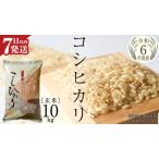 ふるさと納税 生活応援価格!【 令和6年産 】 コシヒカリ 玄米 10kg ( 10kg × 1袋 ) (茨城県共通返礼品 かすみがうら市) 米 ごはん もっち.. 茨城県桜川市