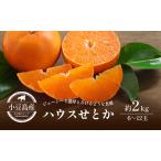 せとか 小豆島ハウスせとか 瀬戸香 柑橘 フルーツ