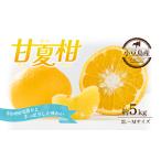 甘夏柑 小豆島産 柑橘 フルーツ