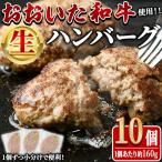 おおいた和牛 生 ハンバーグ 計1.6kg