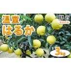 温室はるか 3kg入り