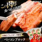 ベーコンブロック 180g×3個セット