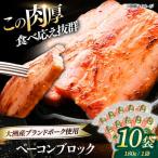ベーコンブロック 180g×10個セット