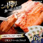 ベーコン ブロック 180g×6個セット