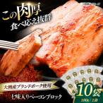 ベーコン ブロック 七味入り 180g×10個セット