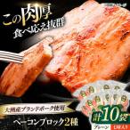 ベーコン ブロック 10個セット