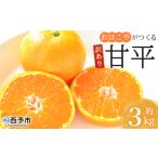 ふるさと納税 <訳あり おはこやがつくる 甘平 約3kg> ワケアリ 家庭用 果物 くだもの 果実 フルーツ 柑橘類 かんぺい カンペイ みかん ミカン .. 愛媛県西予市