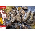 予定 奥松島産 極上カキ 詰合せセット カキむき身500g×3本 …